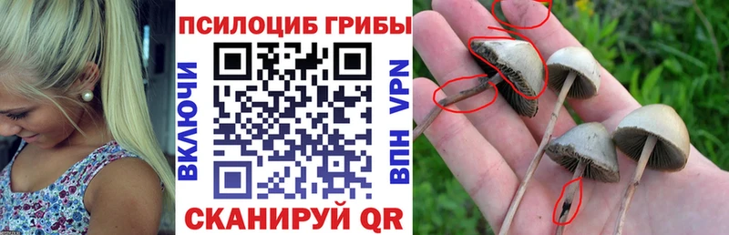 Галлюциногенные грибы мухоморы  Ленск 