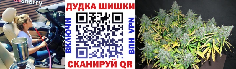 Бошки марихуана SATIVA & INDICA  как найти закладки  Ленск 